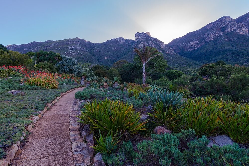 Kirstenbosch National Botanical Garden, Cape Town