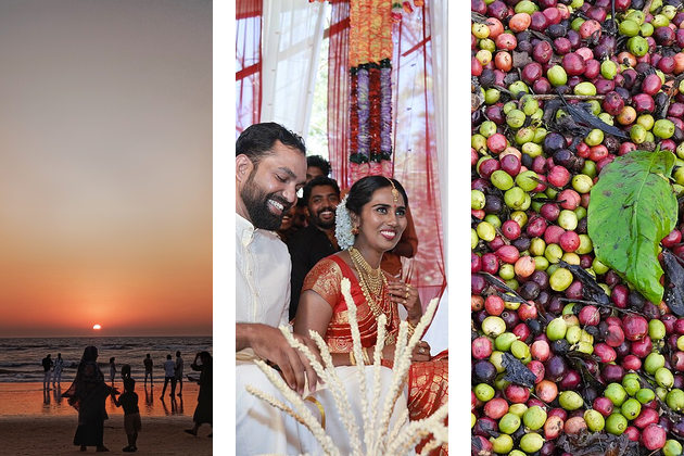 Weddings in India
