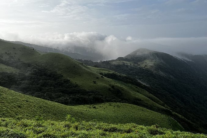 Coorg