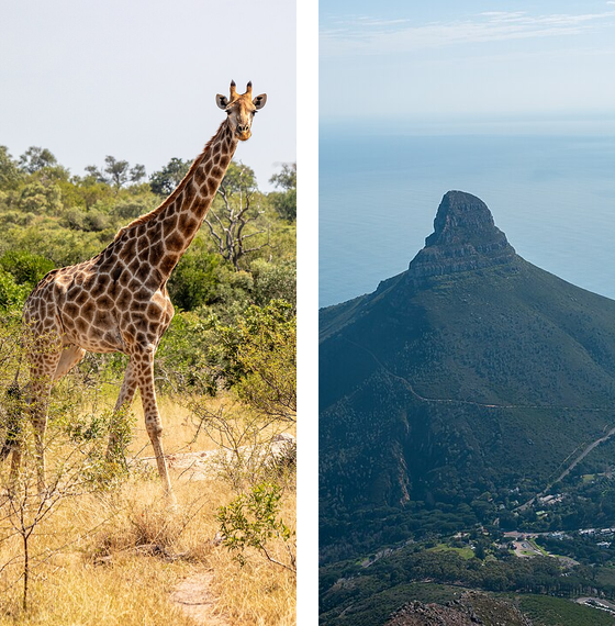 South Africa