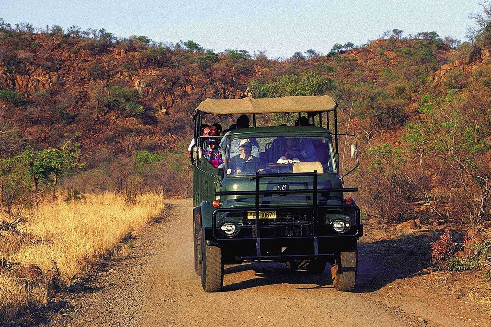 Big Five Game Drive