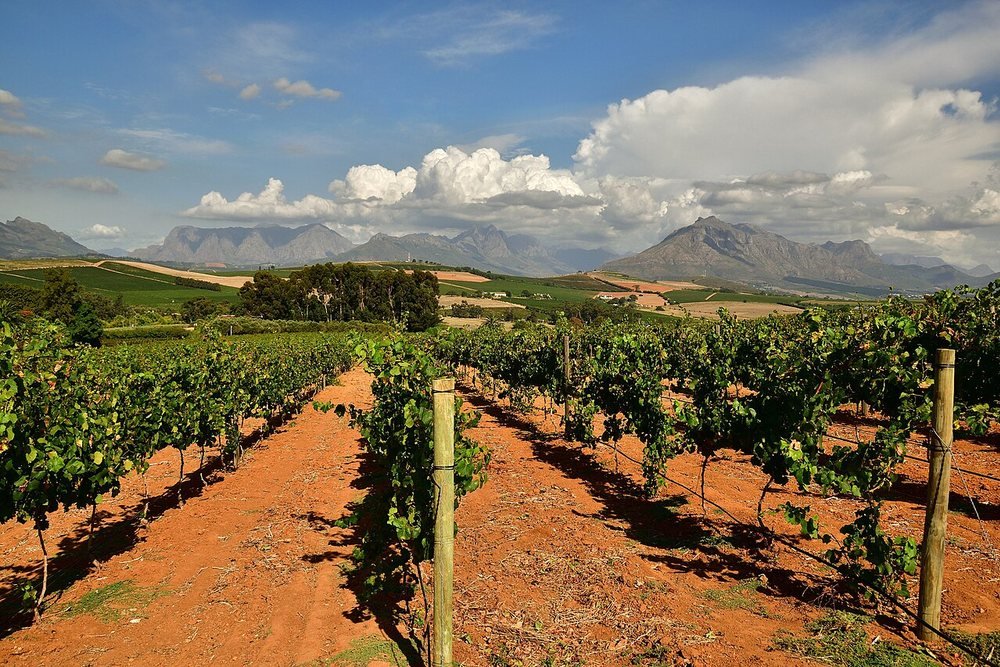 Winelands Tasting