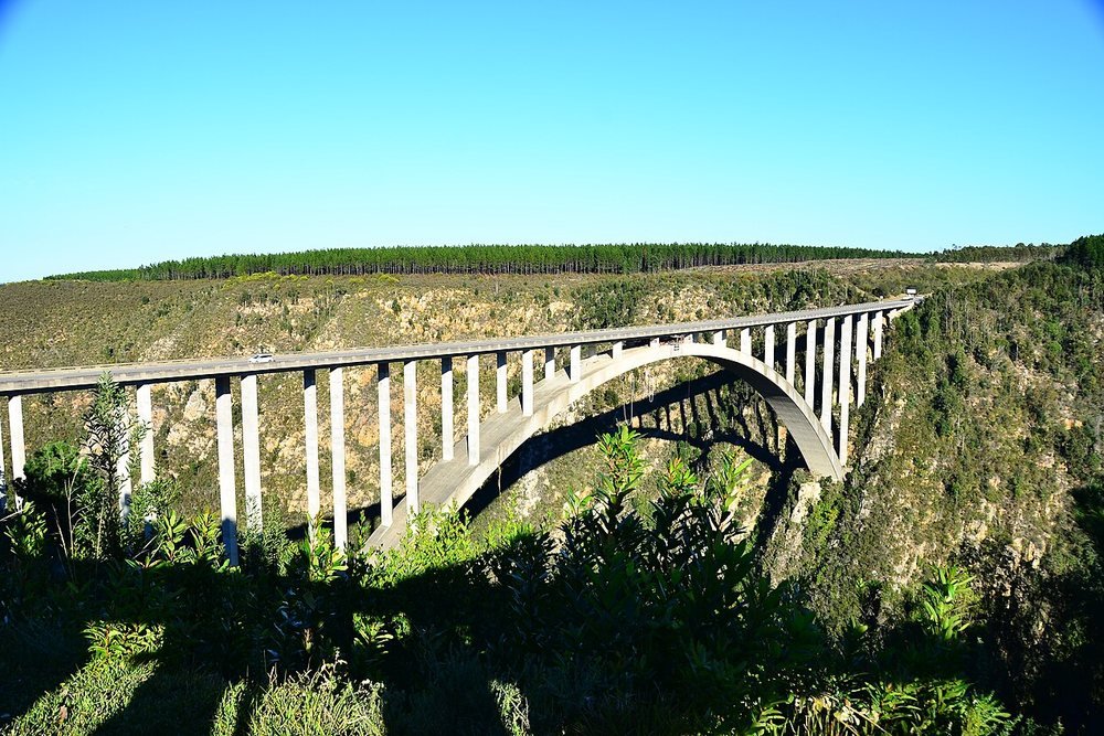 Bloukrans Bridge Bungee