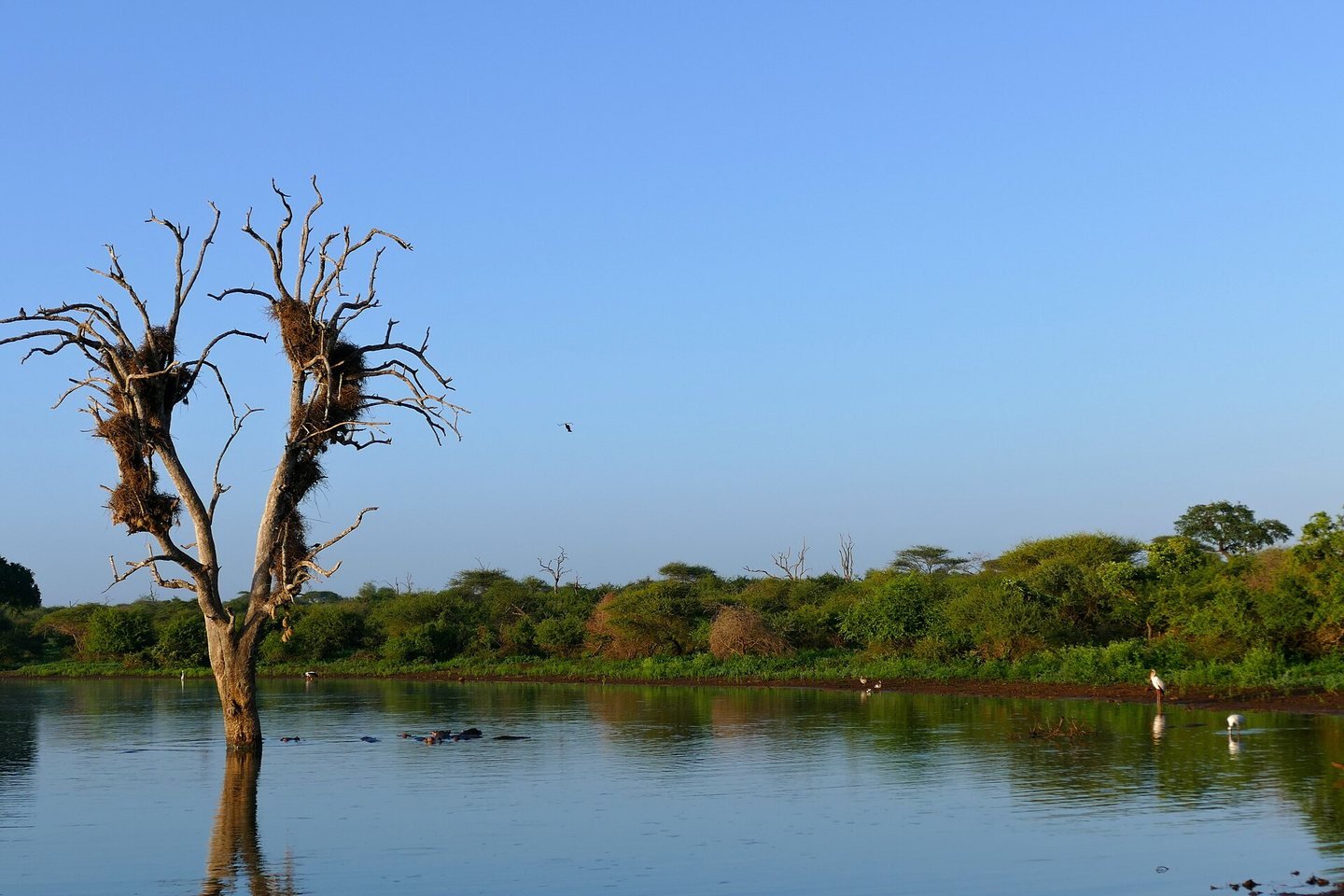 Sunset Dam near Lower Sabie, Kruger